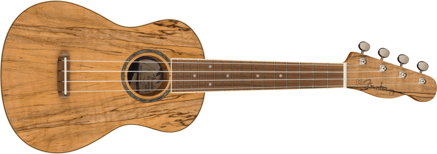 Fender Zuma Concert Ukulele FPM26