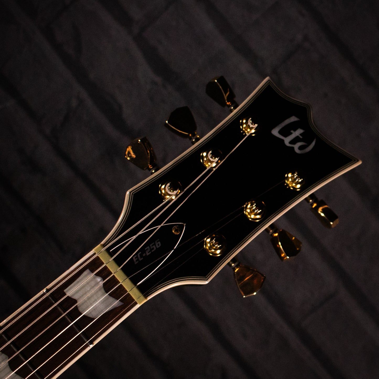 ESP LTD EC-256 Electric Guitar (Gloss Black w/Gold Hardware)