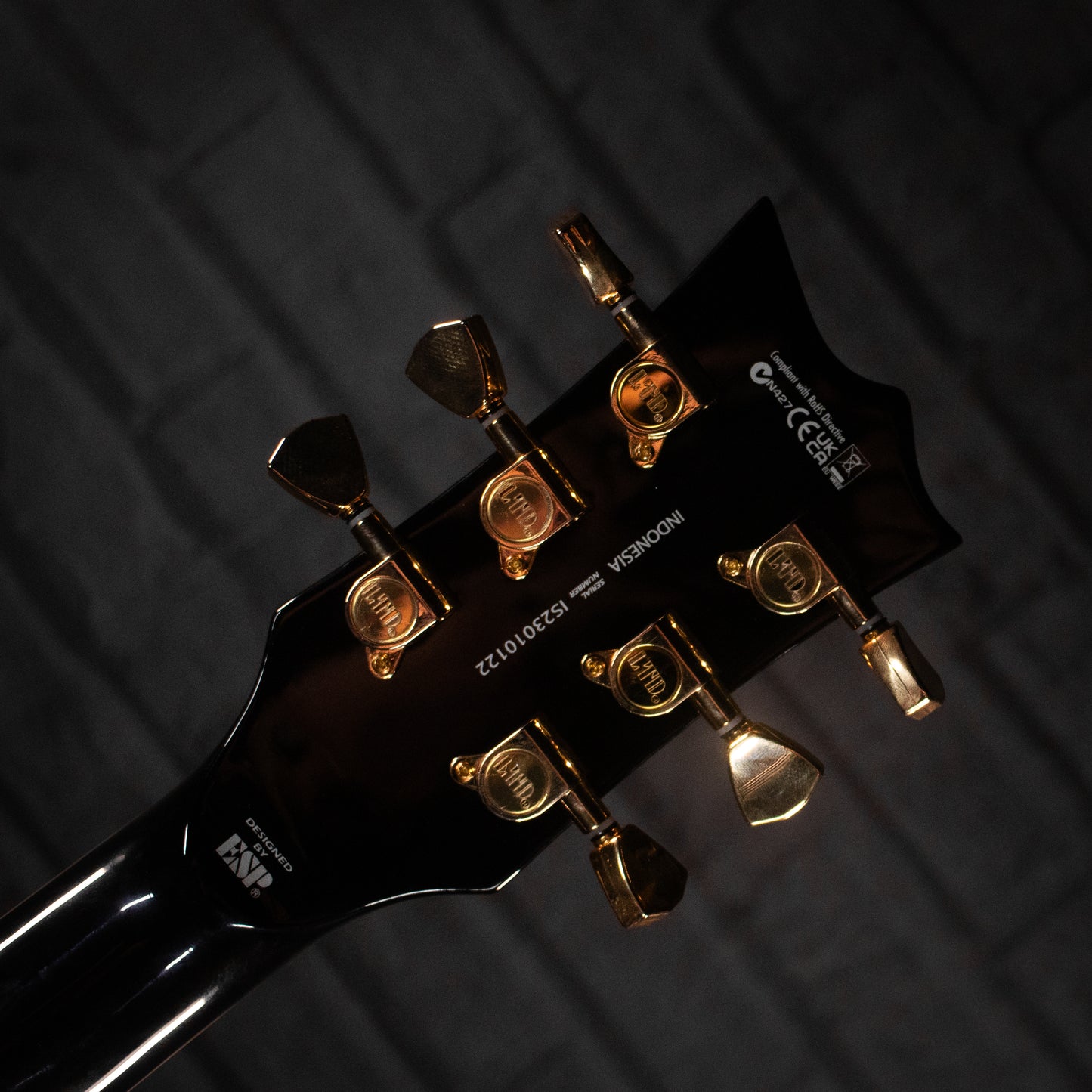ESP LTD EC-256 Electric Guitar (Gloss Black w/Gold Hardware)