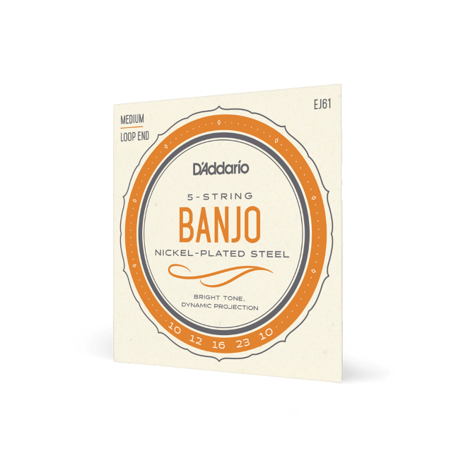 D'addario EJ61 5 String Banjo Phosphor Bronze Strings Medium Loop End